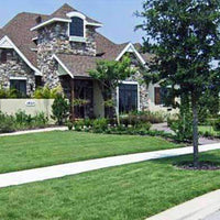 Majestic Bermuda Grass Seed - Coated and Unhulled