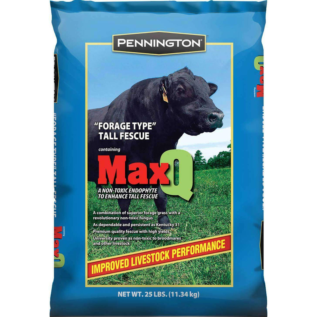 MaxQ II Tall Fescue Grass Seed