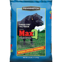 MaxQ II Tall Fescue Grass Seed