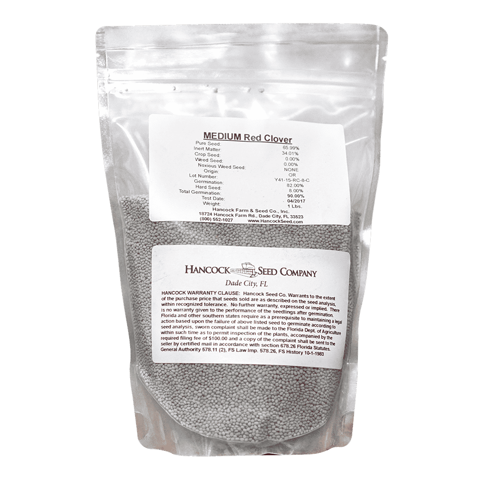 Medium Red Clover Seed – Hancock Seed