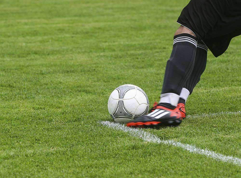 Midnight Kentucky Bluegrass Seed