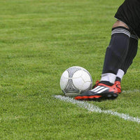 Midnight Kentucky Bluegrass Seed