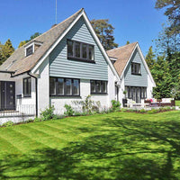 Midnight Kentucky Bluegrass Seed