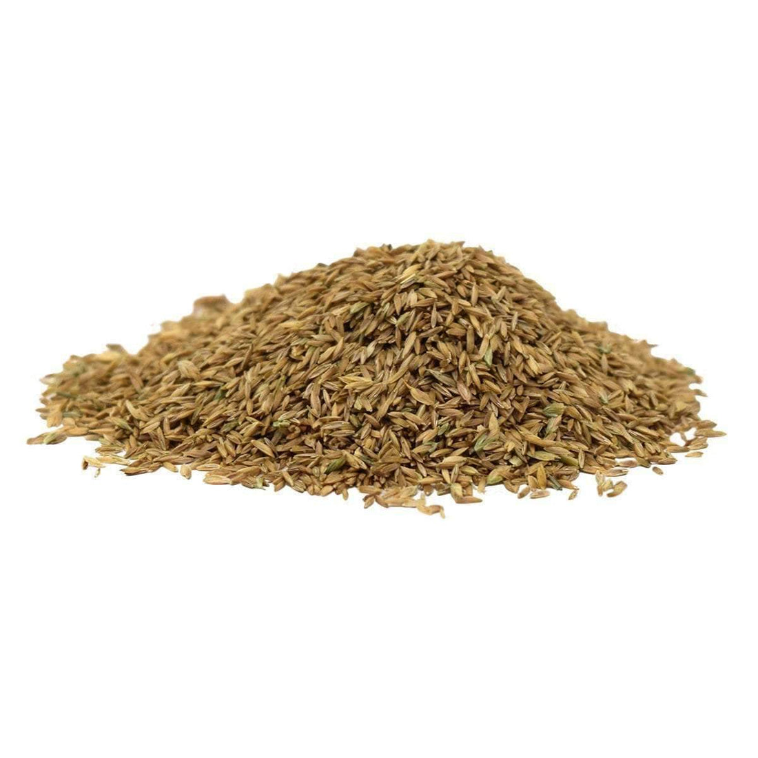 Midnight Kentucky Bluegrass Seed