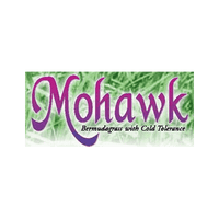 Mohawk Bermuda Grass Seed