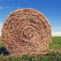 Mulch Erosion Straw Hay - Round Roll