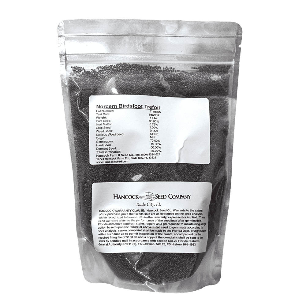 Birdsfoot Trefoil Seed