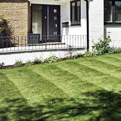 Hancock's Northeast/Midwest Lawn Seed Mix