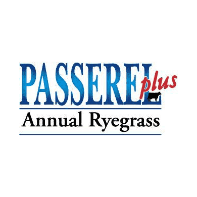 Passerel Plus Grazer Ryegrass Seed