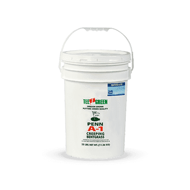 Penn A-1 Bentgrass Seed
