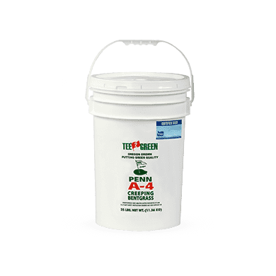 Penn A-4 Bentgrass Seed