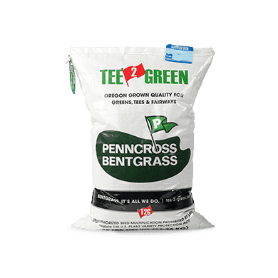 PennCross Bentgrass Seed