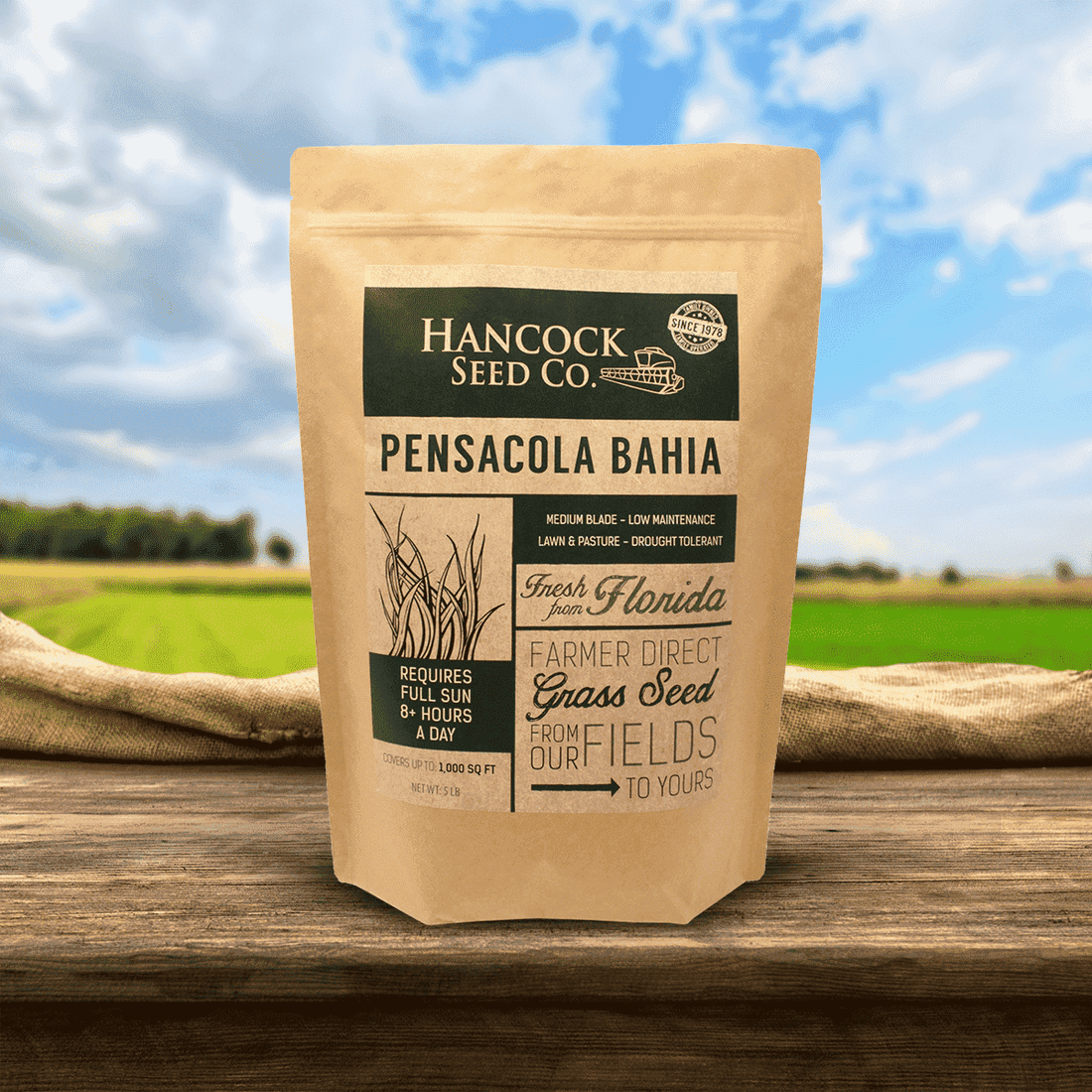 Hancock's Pensacola Bahia Grass Seed - Coated