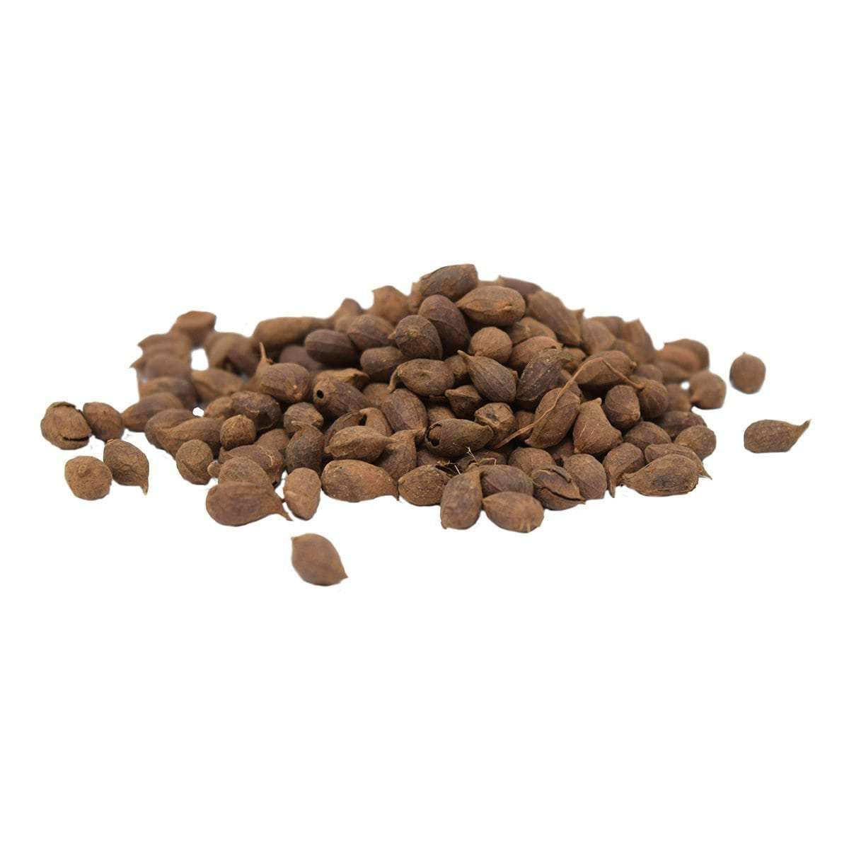 peanut seeds for planting near me Perennial Peanut Seed – Hancock Seed