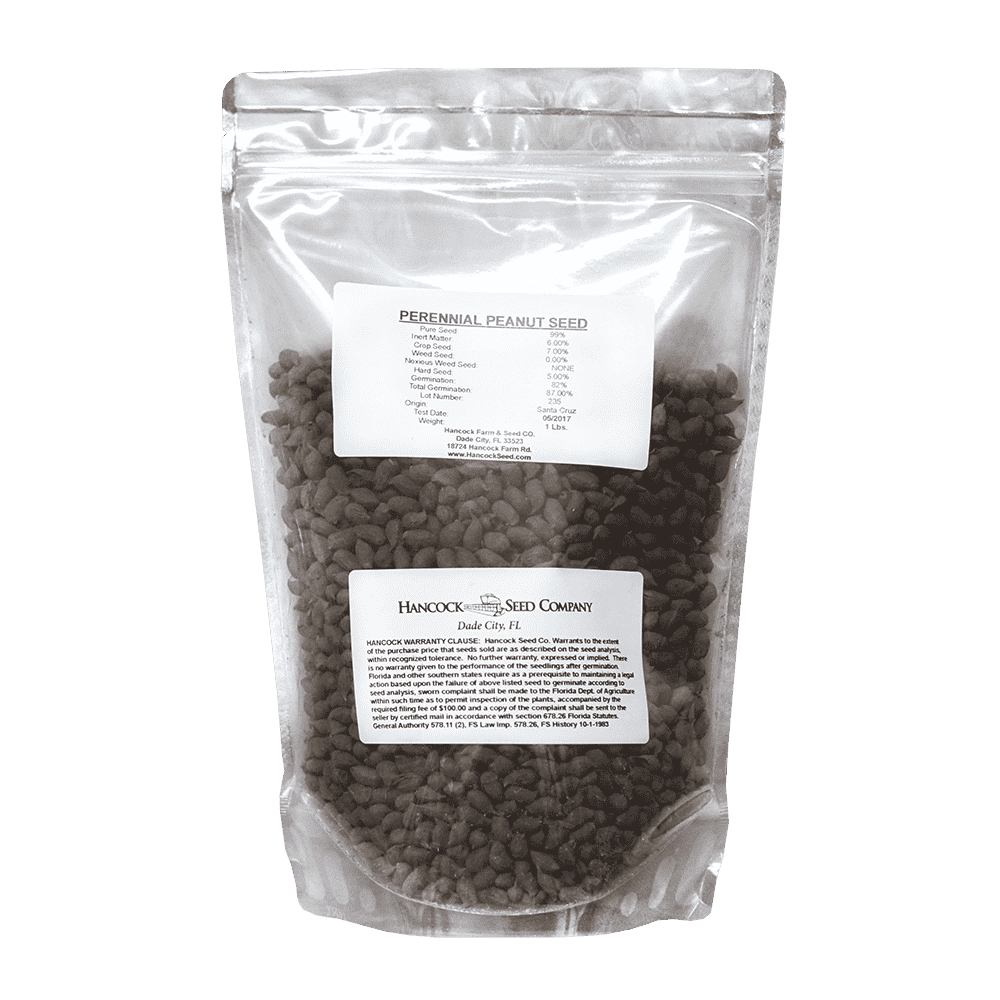 raw peanut seeds for planting Perennial Peanut Seed – Hancock Seed