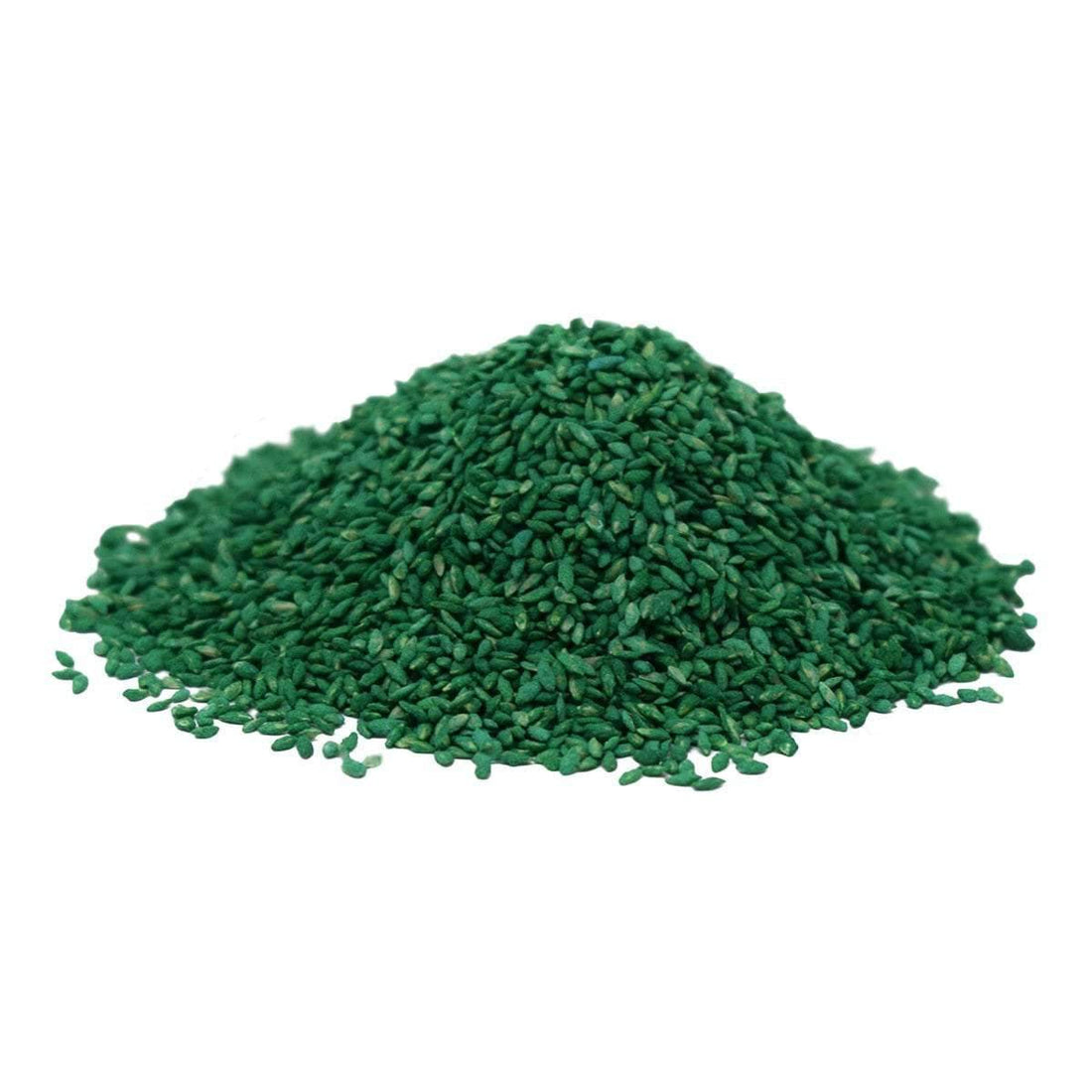 Princess 77 Bermuda Grass Seed