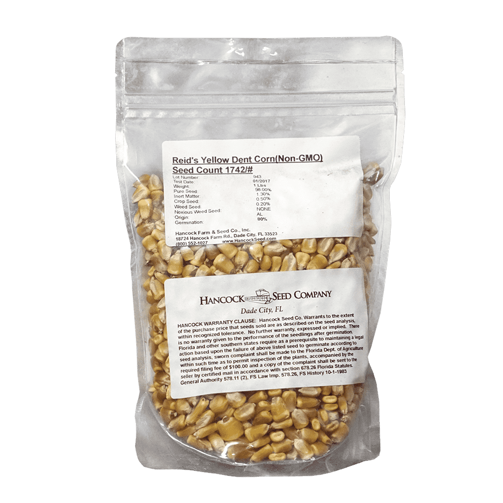 field corn seed for planting Reid's Yellow Dent Field Corn Seed