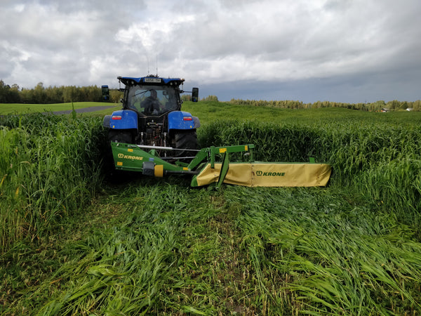 Hancock's Spring Cover Crop Seed Mix