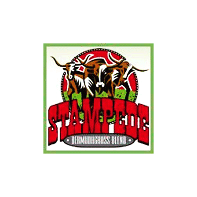 Stampede Bermuda Grass Seed