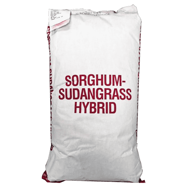 Sterile Sorghum Seed
