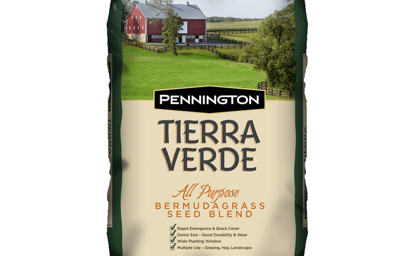 Tierra Verde Bermuda Grass Seed Blend