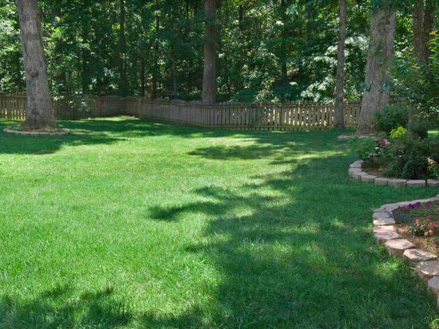planting tall fescue grass seed Titan RX Turf Type Tall Fescue Grass Seed