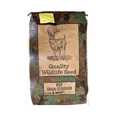 WGF Sorghum Seed