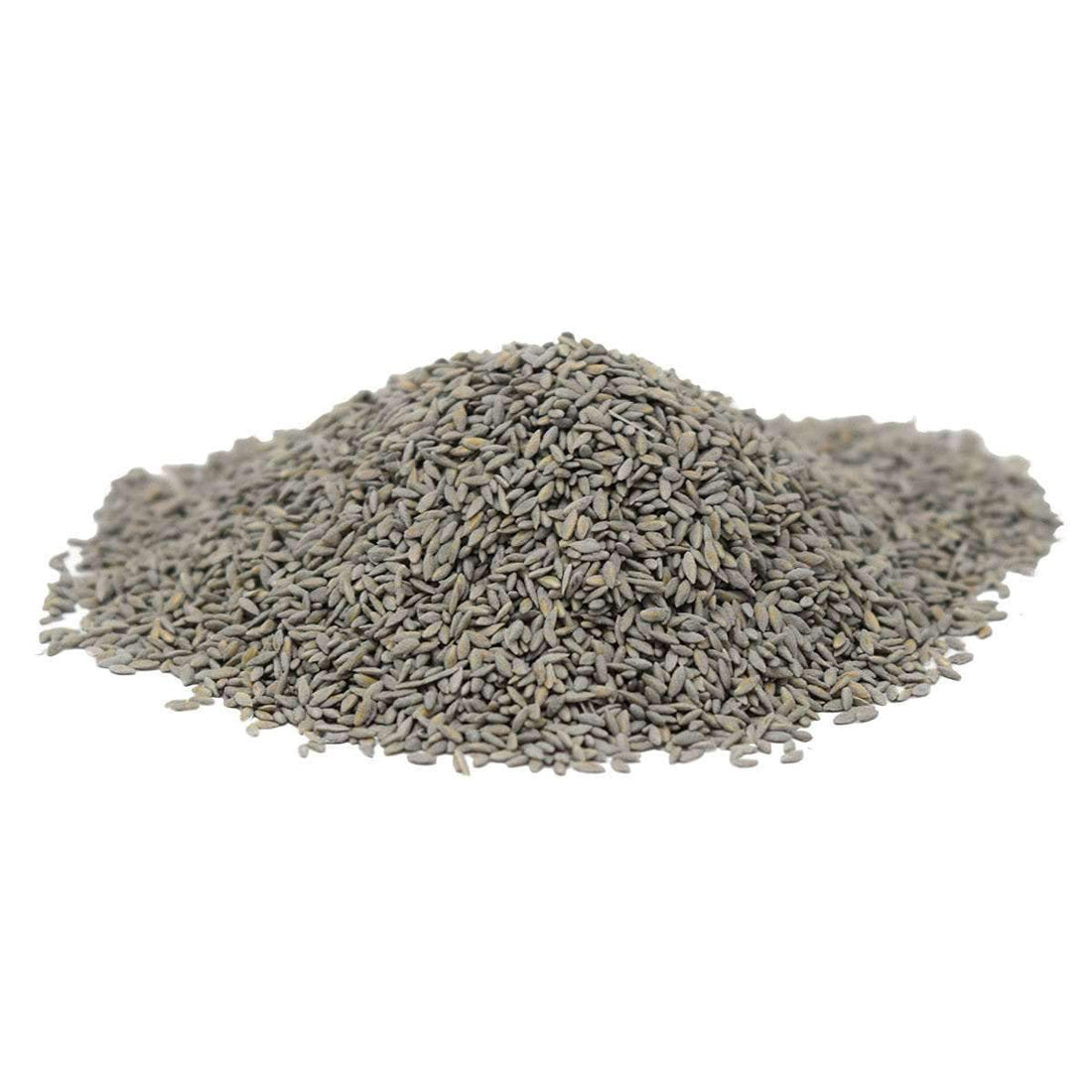Yukon Bermuda Grass Seed