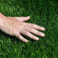 Hancock's Common Bermuda Grass Seed - Coated & Unhulled