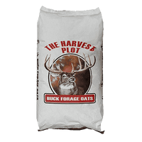 Buck Forage Oat Seed