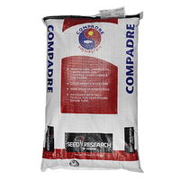 Compadre Zoysia Grass Seed