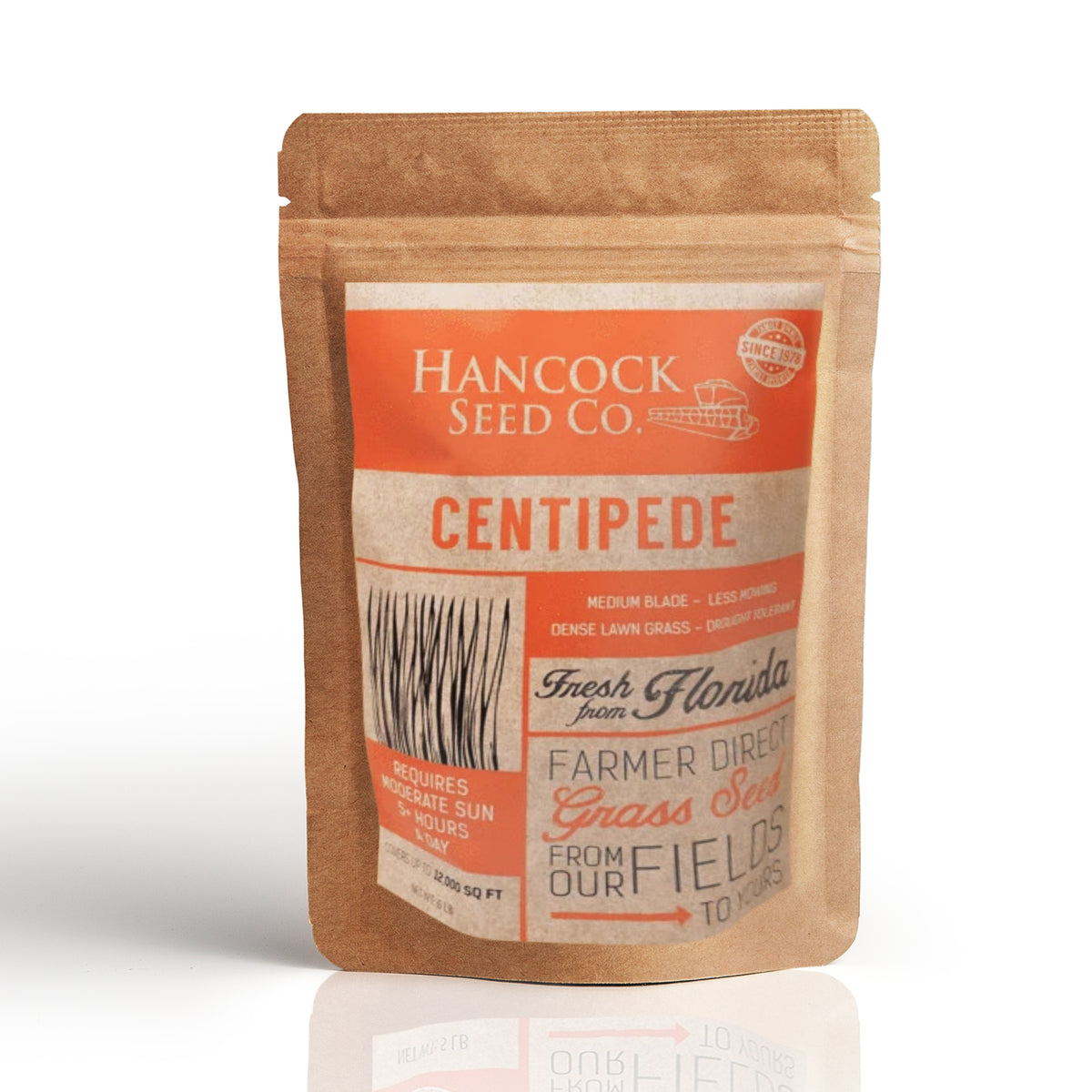 Hancock's Centipede Grass Seed Raw