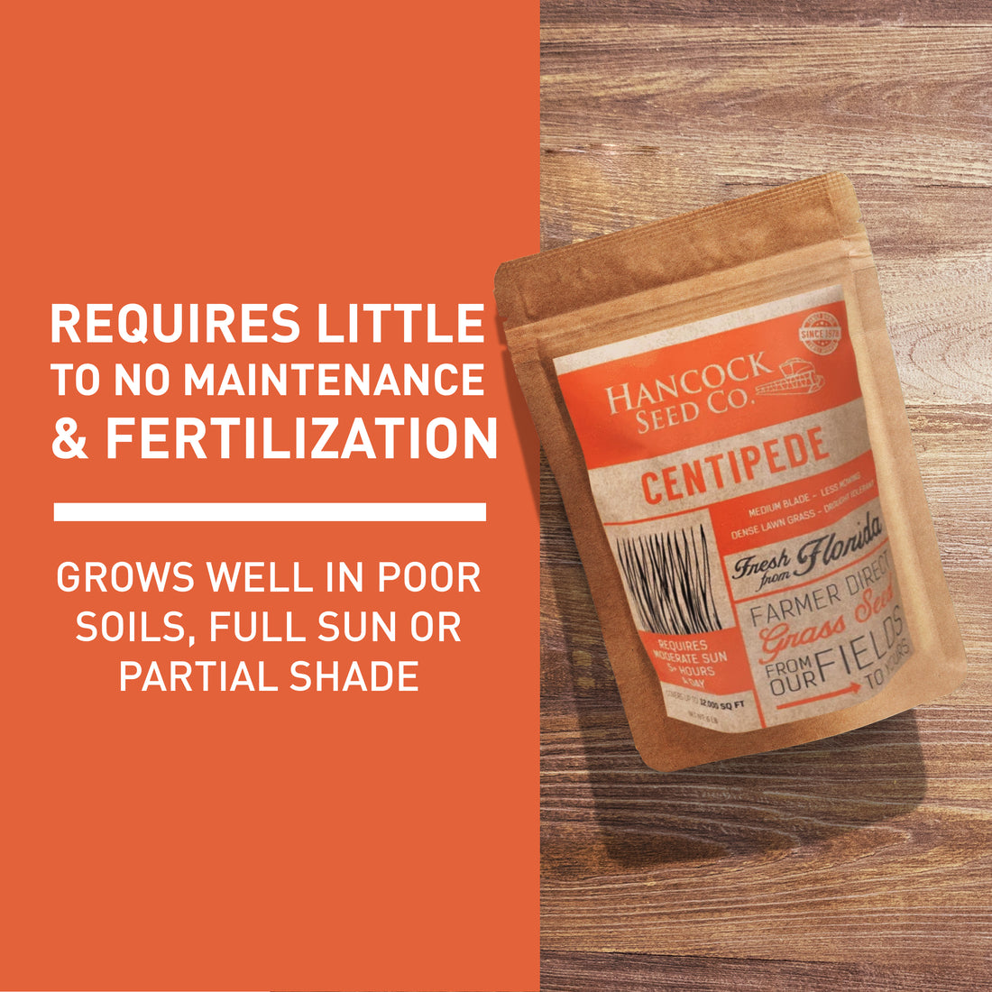 Hancock's Centipede Grass Seed - Coated