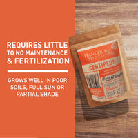 Hancock's Centipede Grass Seed - Coated