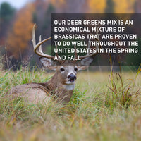 Hancock's Deer Greens Seed Mix