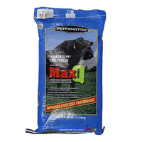 MaxQ II Tall Fescue Grass Seed