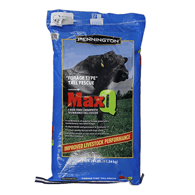 MaxQ II Tall Fescue Grass Seed