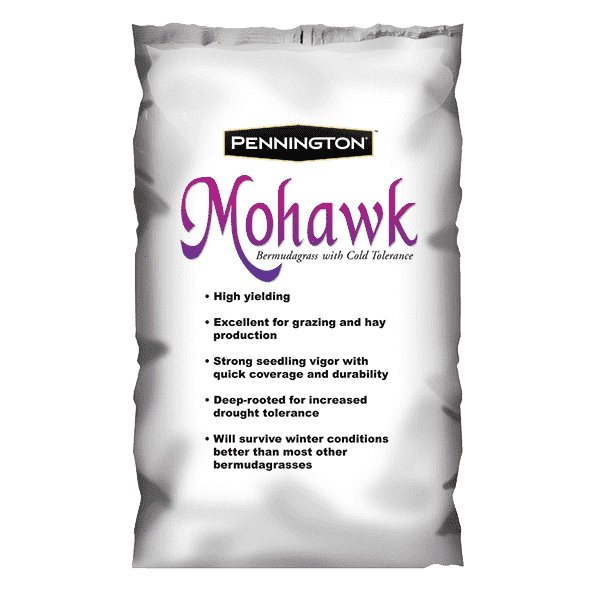 Mohawk Bermuda Grass Seed