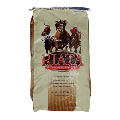 Riata Bermuda Grass Seed