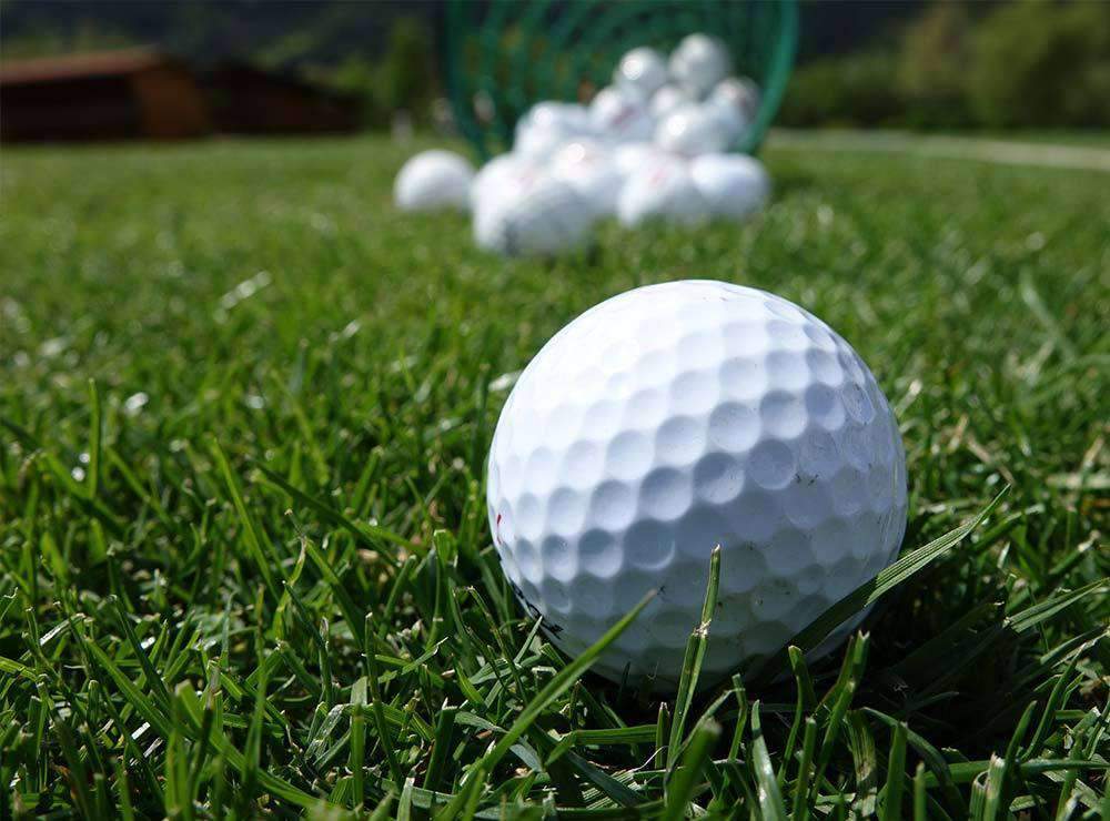 Hancock's Perennial Ryegrass Seed