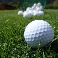 Hancock's Perennial Ryegrass Seed