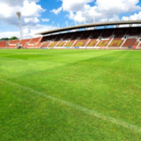 Champion GQ Perennial Ryegrass Seed