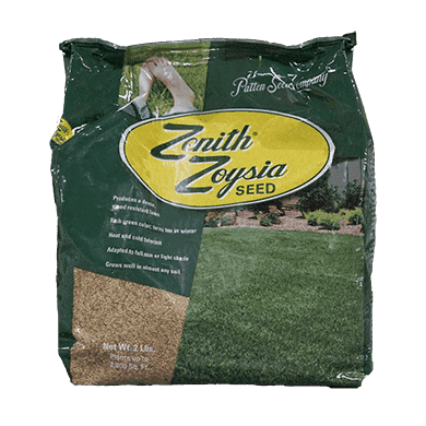 best time to plant zoysia seed in georgia Zenith Zoysia Grass Seed