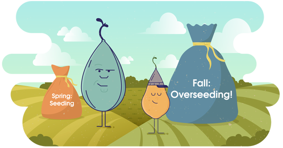 Overseeding: 3 Grass Seed Options to Keep Lawns Green This Winter