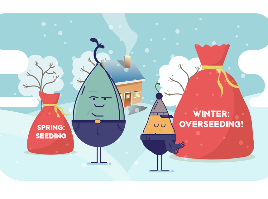 Winter Is Coming...Overseed with The Best Grass Seed Varieties for A Green Spring Lawn