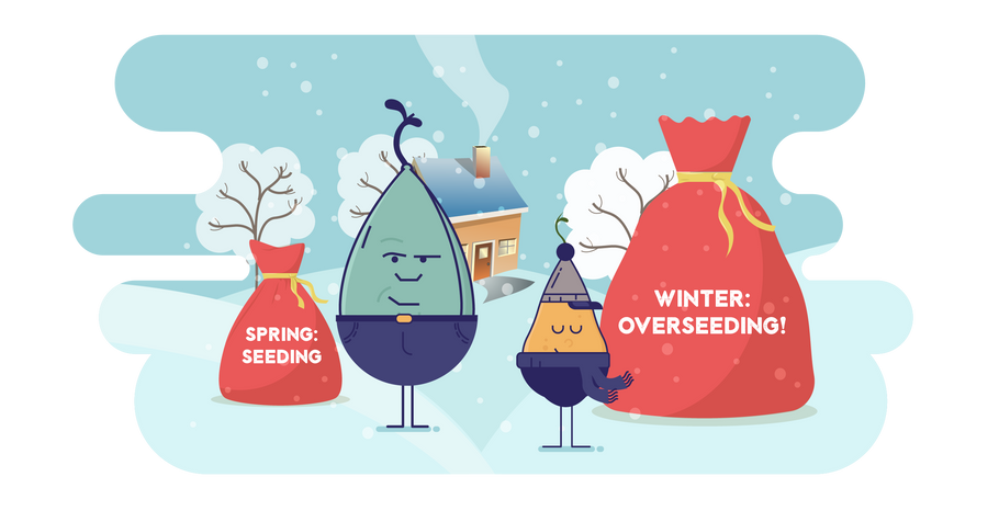 Winter Is Coming...Overseed with The Best Grass Seed Varieties for A Green Spring Lawn