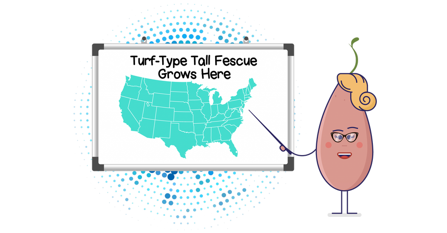 Turf Type Tall Fescue: The Hardy Seed That Will Settle on Nearly Any Lawn in America