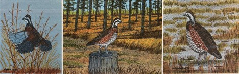 From Food Plots to Fine Art: Customer Spotlight on Jim Turlington of Deep Woods Studio