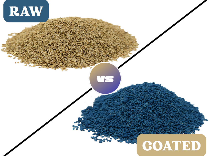 Coated Seed vs. Raw Seed: Understanding the Difference