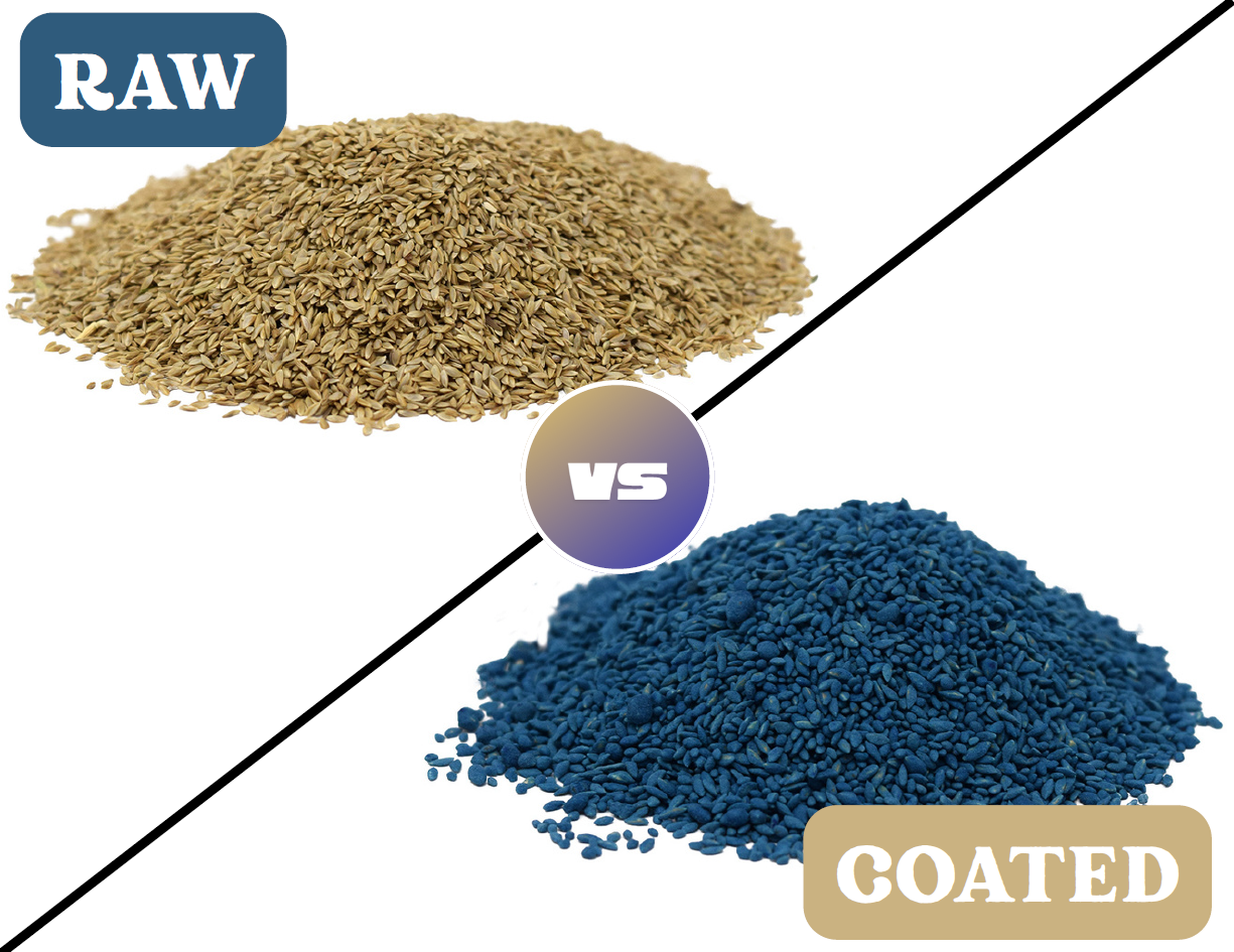 Coated Seed vs. Raw Seed: Understanding the Difference